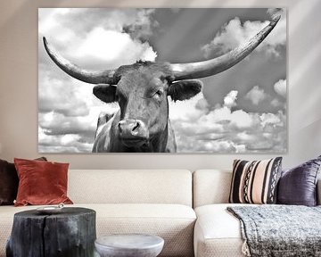 Longhorn 8 black and white
