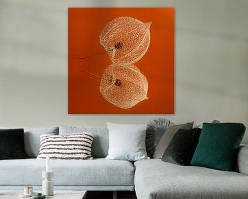 Oranje!... met een lampionnetje van Marjolijn van den Berg