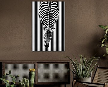 Zebra van bovenaf | Abstract minimalistisch streepdesign in zwart en wit van Frank Daske | Foto & Design