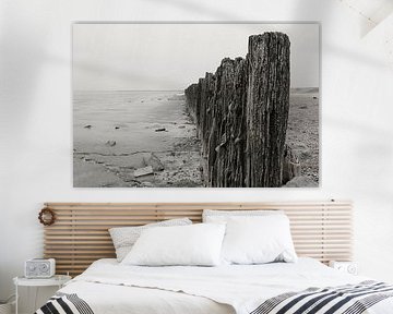 Rijsdam an der Küste bei Moddergat von Welmoed van der Meer