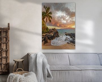 Hawaii strand van irvan halim