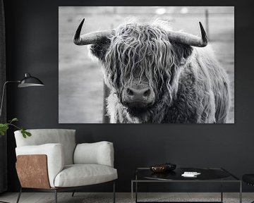 Portret van kop van schotse hooglander stier in zwart wit van KB Design & Photography (Karen Brouwer)