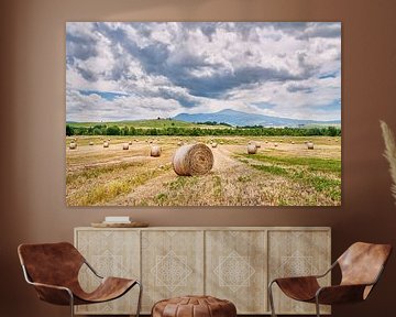 Italië Toscane hooibalen in het landschap van eric van der eijk