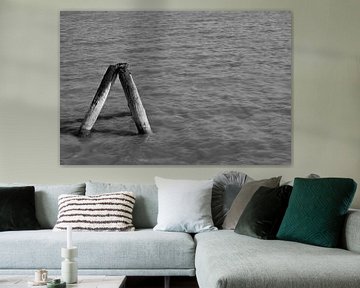 Kalm in het water