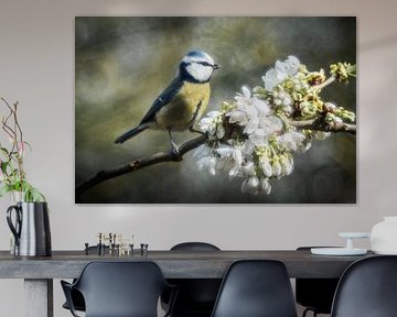Mésange à la branche de cerisier en fleur sur Jürgen Schmittdiel Photography
