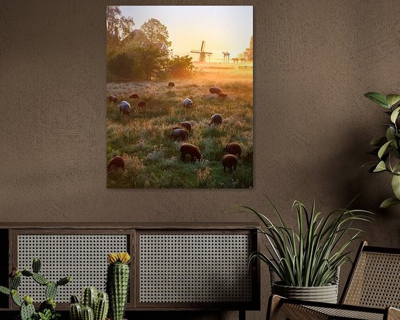 Aperçu de la chambre