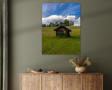 At the barn by Christina Bauer Photos