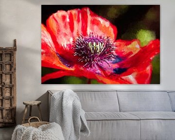 Papaver van Rob Boon