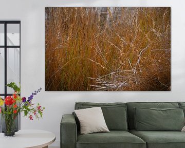 Marram grass in the dunes on Langeoog by Karl-Heinz Petersitzke