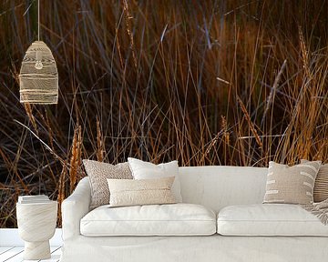 Strandhafer in den Dünen auf Langeoog von Karl-Heinz Petersitzke