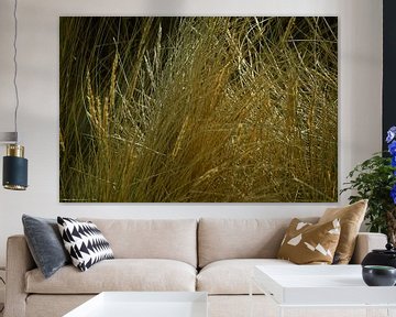 Marram grass in the dunes on Langeoog by Karl-Heinz Petersitzke