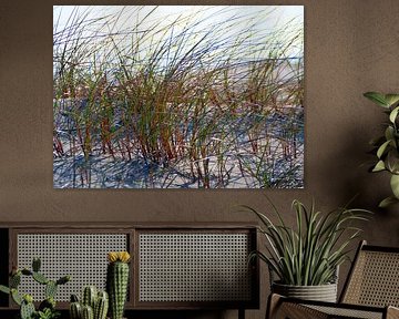 helmgras in de duinen op Langeoog