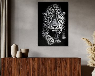 Cheetah in zwart