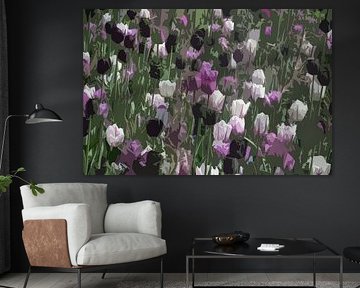 Tulipes