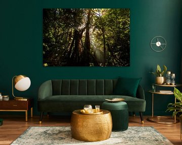 Jungle, Nieuw Zeeland van Nynke Altenburg