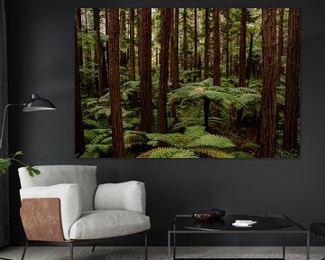 Redwood Forest, New Zealand van Nynke Altenburg