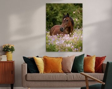 Paard tussen de bloemen