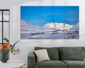 Noors hooggebergte, besneeuwde bergen en landschap