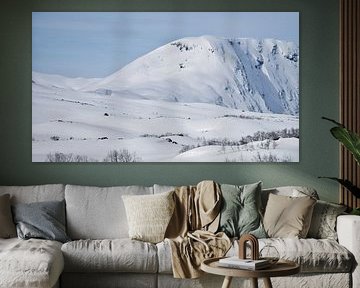 Norwegian high mountains, snow-covered mountains and landscape