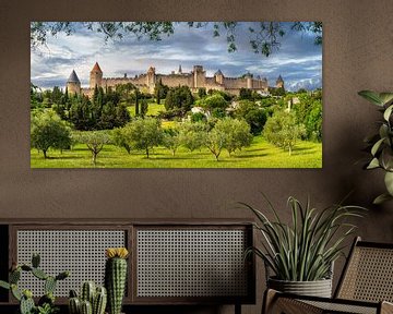 Carcassonne met zijn prachtige landschap en olijfbomen van Voss fotografie