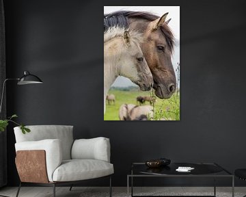 Paarden | Konikpaard merrie met veulen portret Oostvaardersplassen van Servan Ott