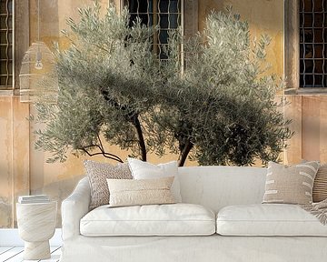 Olijfboom voor historische architectuur van Poster Art Shop