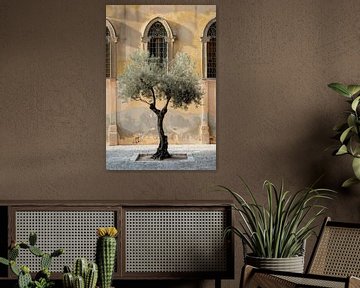 Olivenbaum vor historischer Architektur von Poster Art Shop