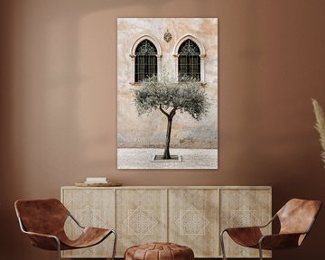 Olijfboom voor historische architectuur van Poster Art Shop