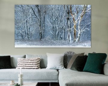 Winter landschap