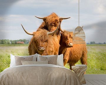 Natuur | Schotse Hooglanders op eiland Tiengemeten 2 van Servan Ott