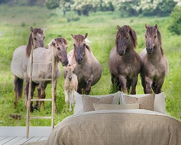 Paarden | Konikpaarden met veulen Oostvaardersplassen  van Servan Ott