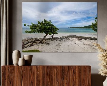 Tropical beach by Bettina Schnittert