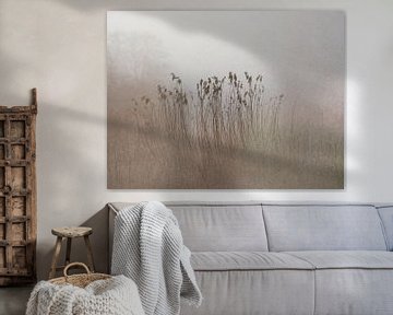 Riet in de mist in zachte aarde kleurige pasteltinten van Imaginative