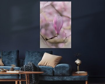 Zelfs de bomen schrijven poëzie in de lente van Moetwil en van Dijk - Fotografie