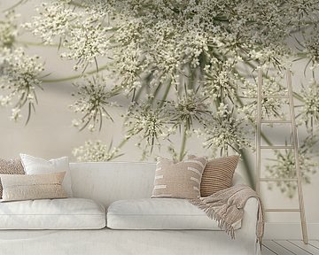 Flowers. umbellifers. 6 by Alie Ekkelenkamp