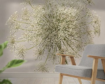 Flowers. umbellifers. 5 by Alie Ekkelenkamp