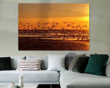 Meeuwen bij zonsondergang op Langeoog / Oost-Friesland Noordzee van Karl-Heinz Petersitzke