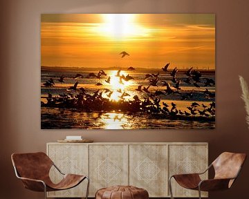 Seagulls at sunset on Langeoog / East Frisia North Sea by Karl-Heinz Petersitzke