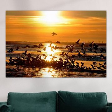 Seagulls at sunset on Langeoog / East Frisia North Sea by Karl-Heinz Petersitzke