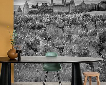 Carcassonne with vineyard and poppies in black and white