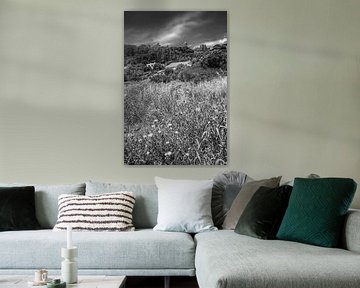 Landschap met bloemenweide bij Tarifa in Andalusië / Spanje in zwart-wit van Manfred Voss, Zwart-Wit Fotografie