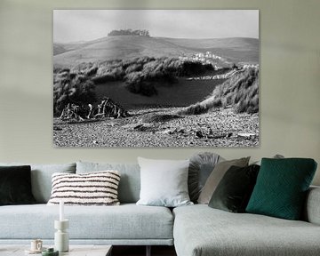 Wilde grasduinen monochroom - Morro Bay Californië van Joseph S Giacalone Photography