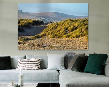 Wilde grasduinen - Morro Bay Californië van Joseph S Giacalone Photography