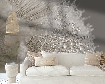 Tiny water droplets on a fluff of the morning star by Marjolijn van den Berg