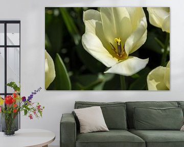 White flower