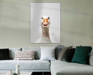 Portrait d'oie sur haroulita