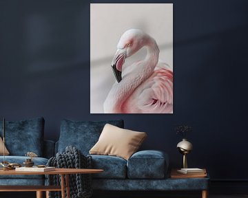 Roze flamingo van haroulita