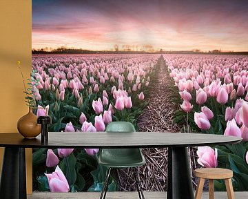 Sweet sunset by Martijn Kort