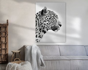 zwart wit luipaard portret van haroulita