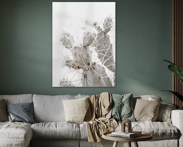 White cactus